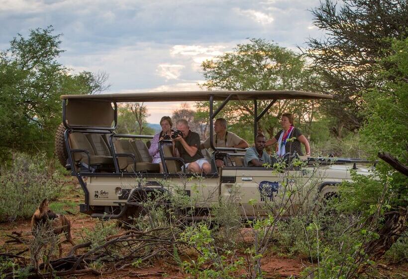 호텔 Madikwe River Lodge