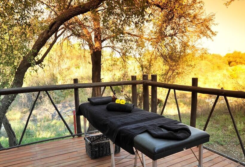 호텔 Madikwe River Lodge