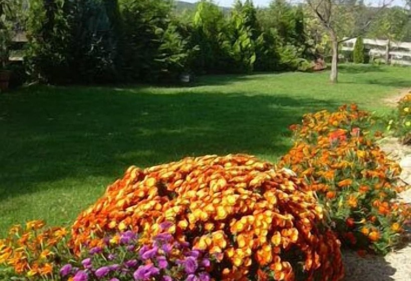 בית מלון כפרי Margaréta Panzió