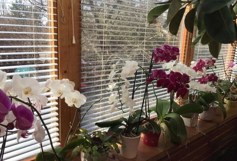 בית מלון כפרי Margaréta Panzió