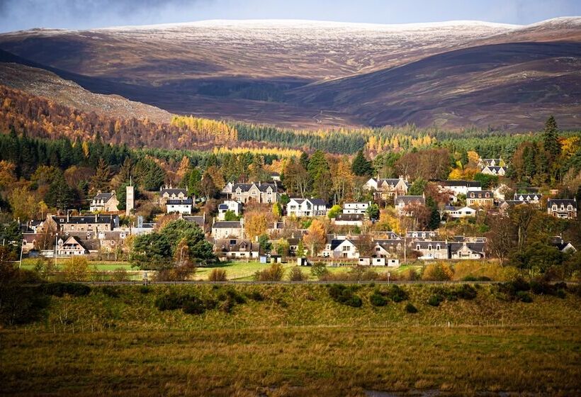 Отель Mcinnes House