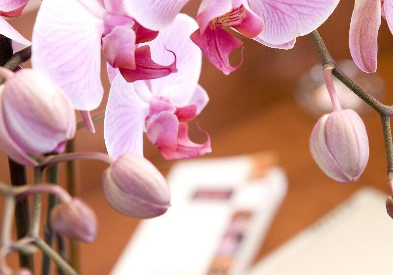 酒店 Mercure Paris Ivry Quai De Seine