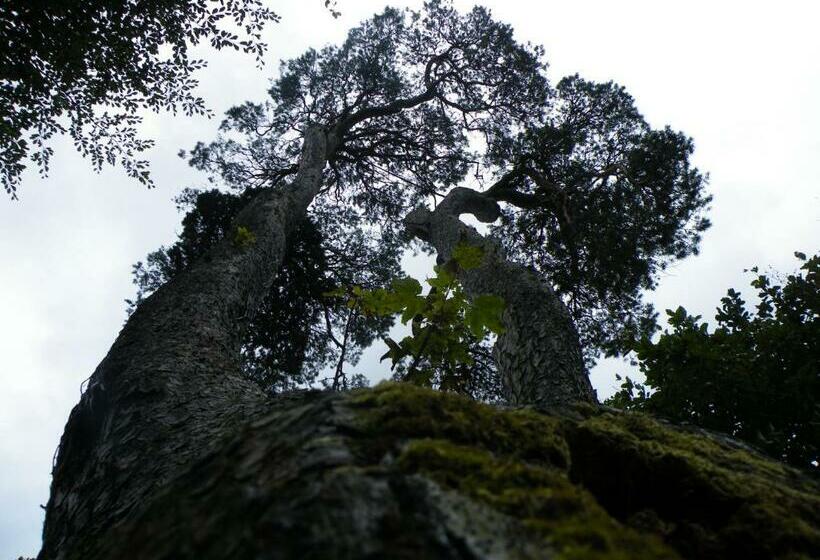 בית מלון כפרי Mills Inn