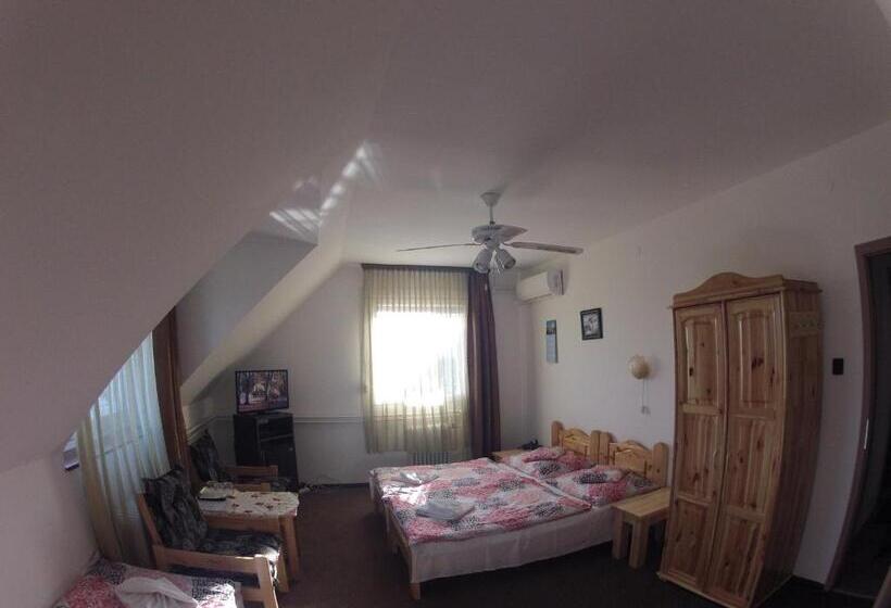 酒店 Olympos Panzió