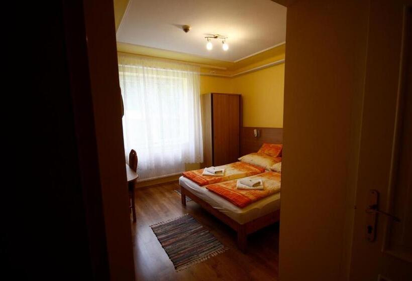 호텔 Parti Panzió