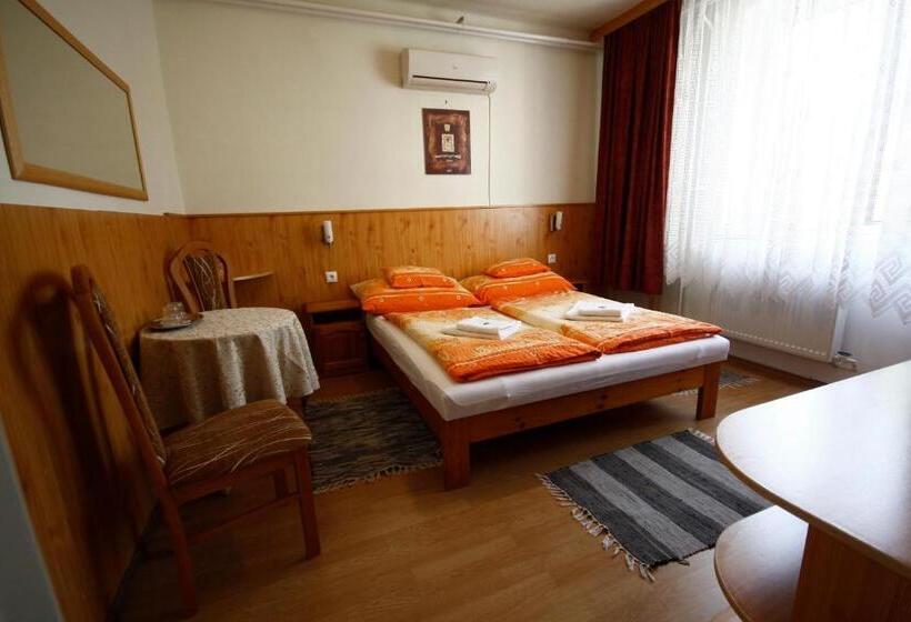 호텔 Parti Panzió