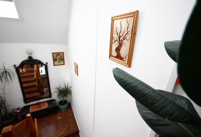 호텔 Parti Panzió