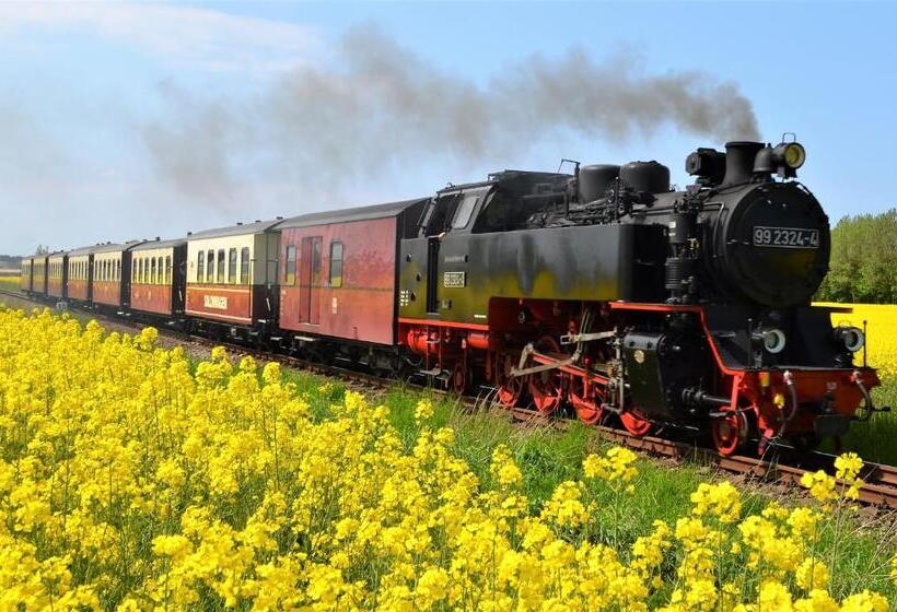 酒店 Residenz Waldkrone Kühlungsborn