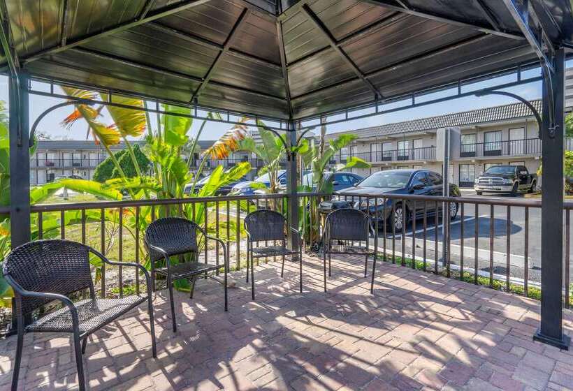 ホテル Rodeway Inn Clearwaterdunedin