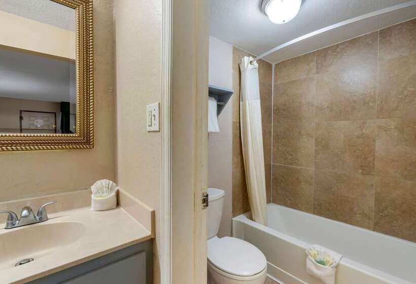 ホテル Rodeway Inn Clearwaterdunedin