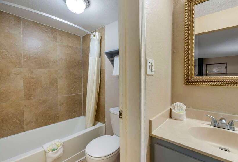 ホテル Rodeway Inn Clearwaterdunedin