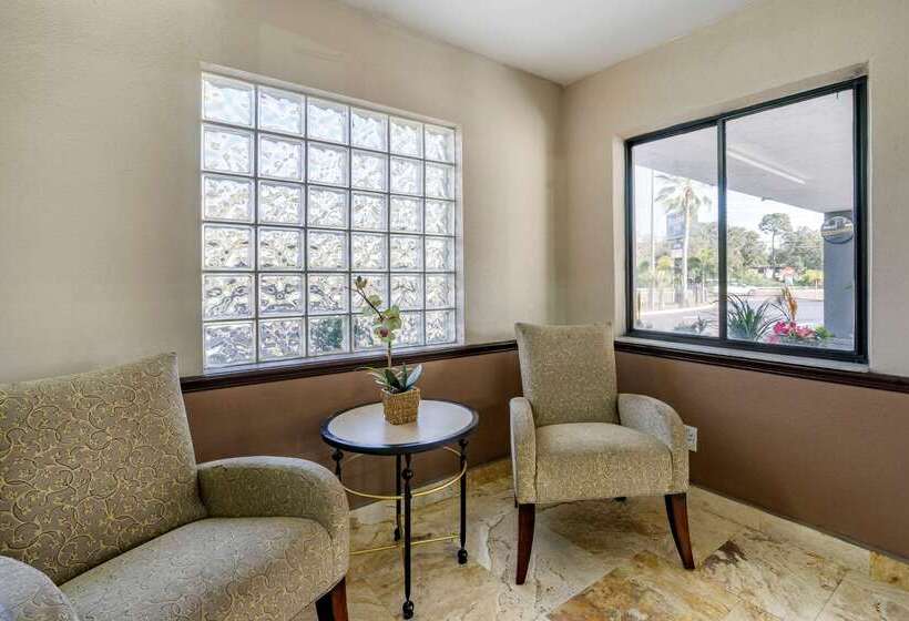 ホテル Rodeway Inn Clearwaterdunedin