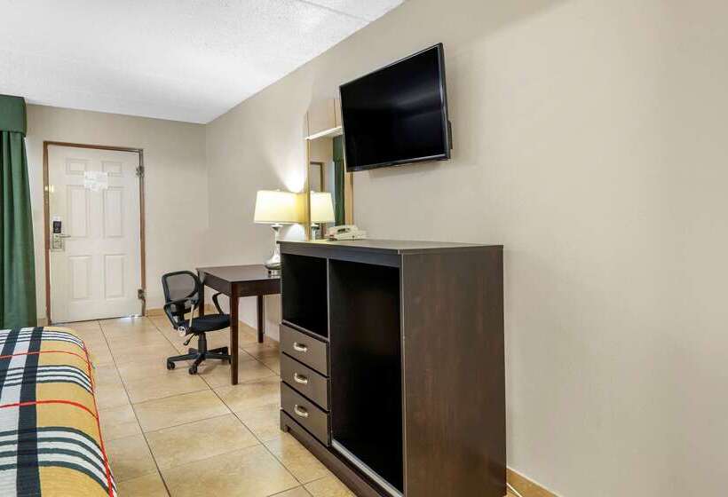 ホテル Rodeway Inn Clearwaterdunedin