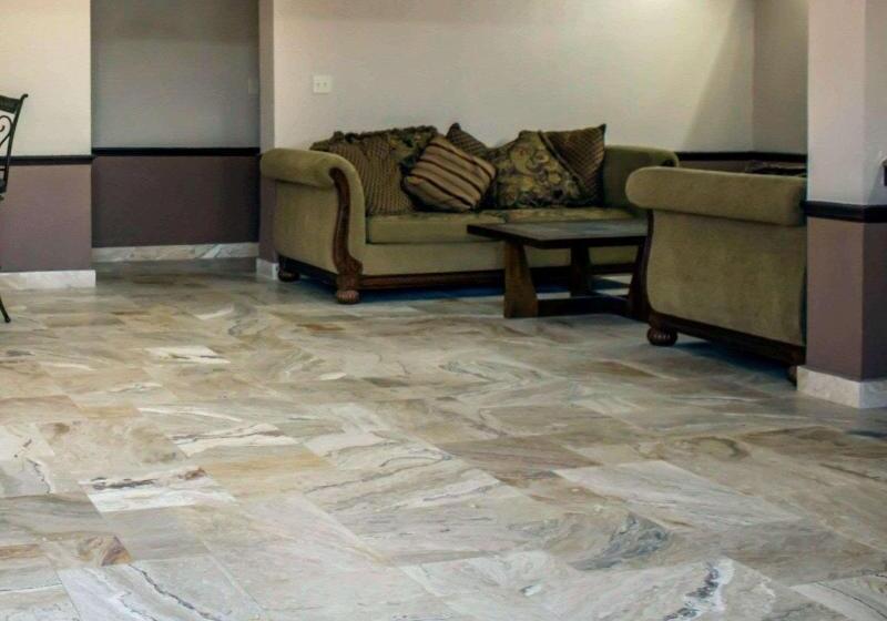 ホテル Rodeway Inn Clearwaterdunedin