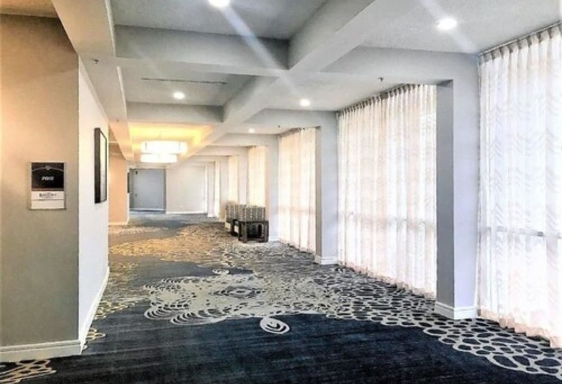 Southbank Hotel By Marriott Jacksonville Riverwalk