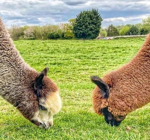 فندق Tewinbury Farm