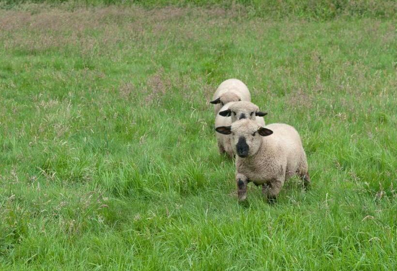 בית מלון כפרי Tewinbury Farm