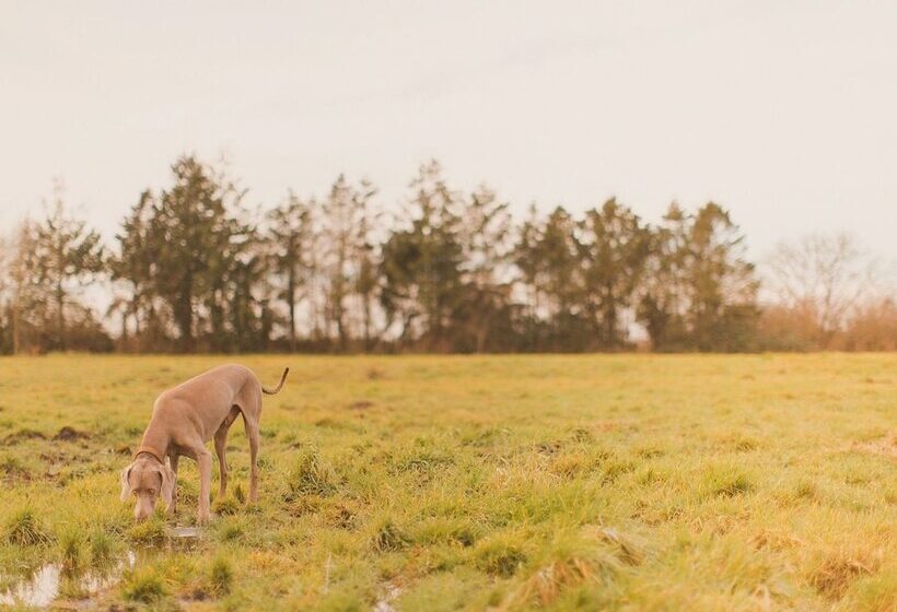 ホテル The Moonraker