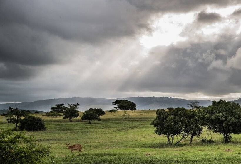 فندق Zulu Nyala Game Lodge
