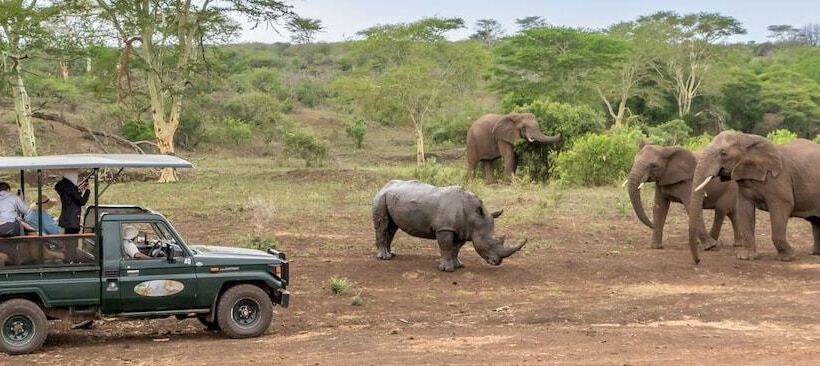 בית מלון כפרי Zulu Nyala Game Lodge