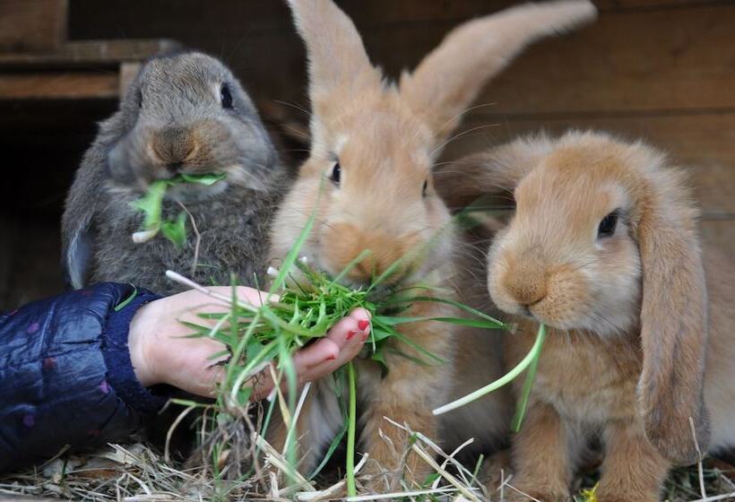 Kadyny Folwark Hotel & Spa