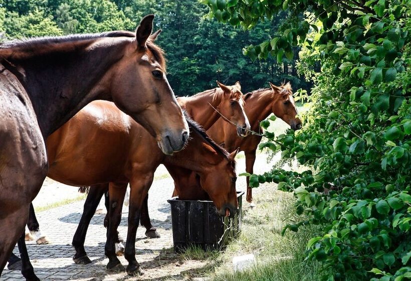 Kadyny Folwark Hotel & Spa