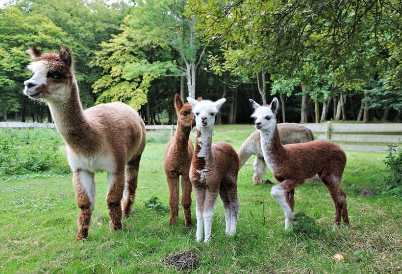 Kadyny Folwark Hotel & Spa