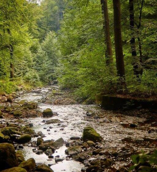 Kurpark Flair Hotel Im Ilsetal