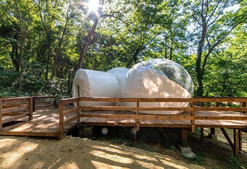 Nomad Hotel & Glamping