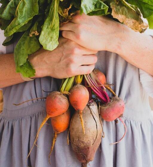 Nomad Hotel & Glamping