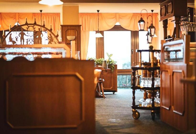 Berghotel Steiger   Erzgebirge