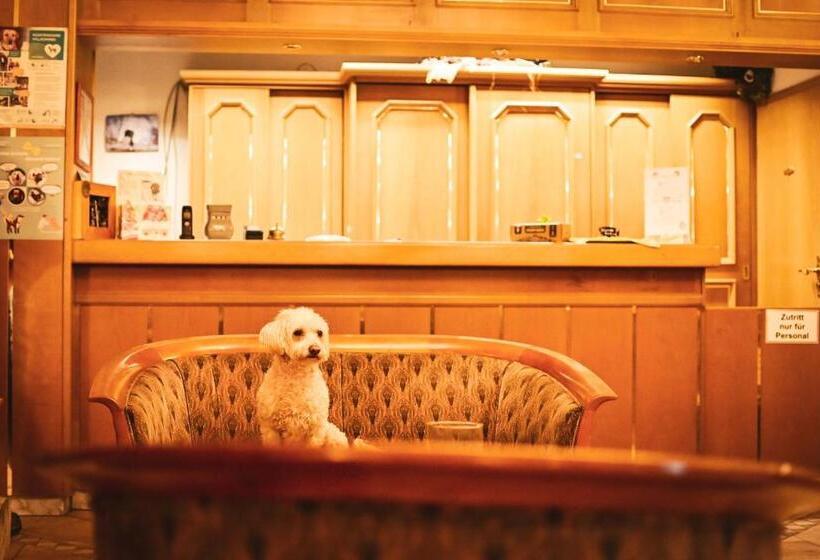 Berghotel Steiger   Erzgebirge