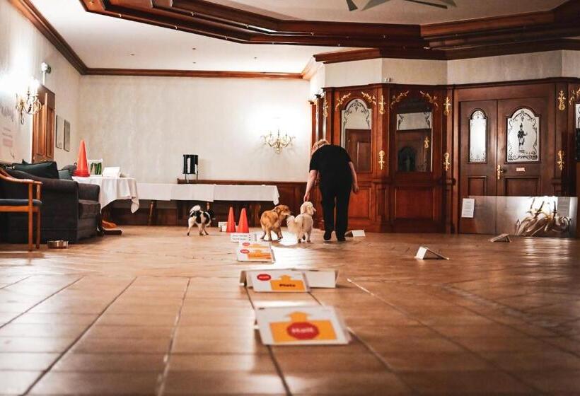 Berghotel Steiger   Erzgebirge