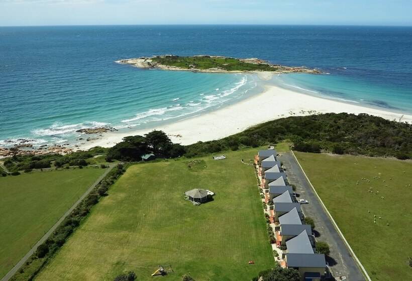 Diamond Island Resort & Bicheno Penguin Show