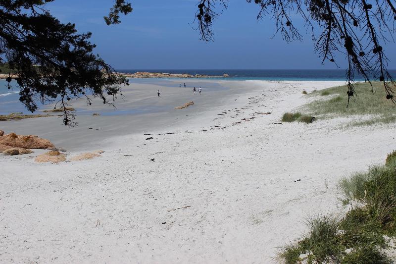 Diamond Island Resort & Bicheno Penguin Show