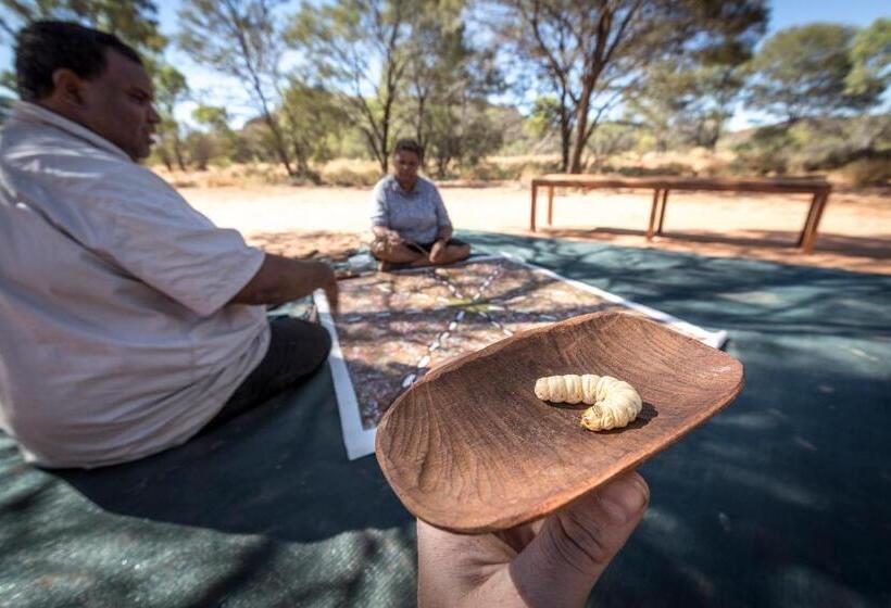 Discovery Resorts   Kings Canyon