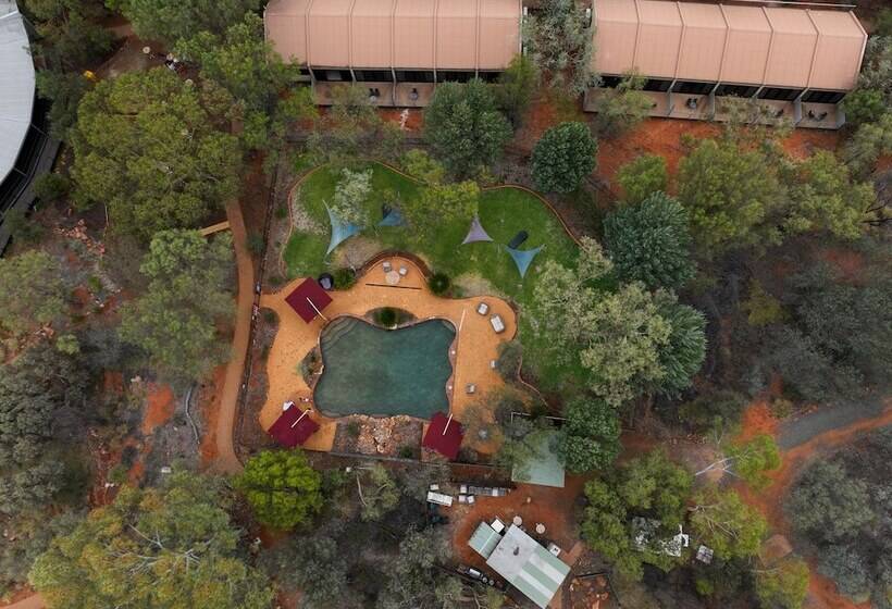 Discovery Resorts   Kings Canyon