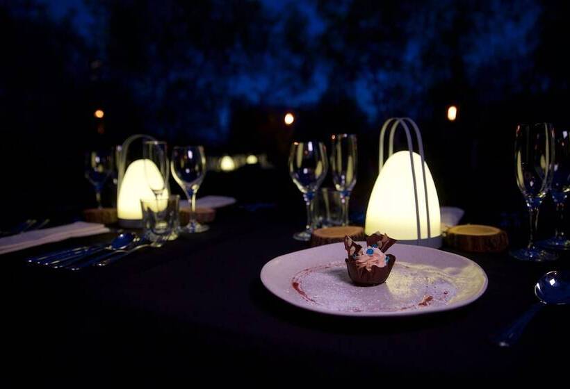 Discovery Resorts   Kings Canyon