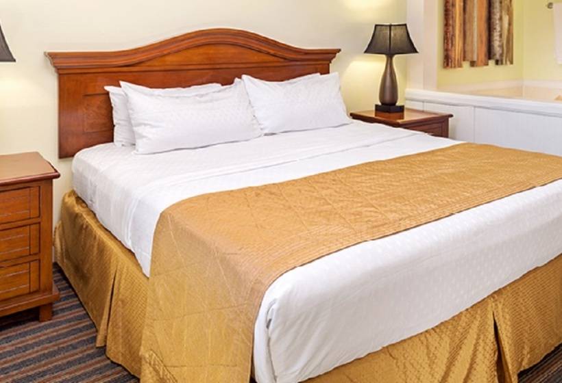 渡假胜地  Hilton Vacation Club Grand Beach Orlando