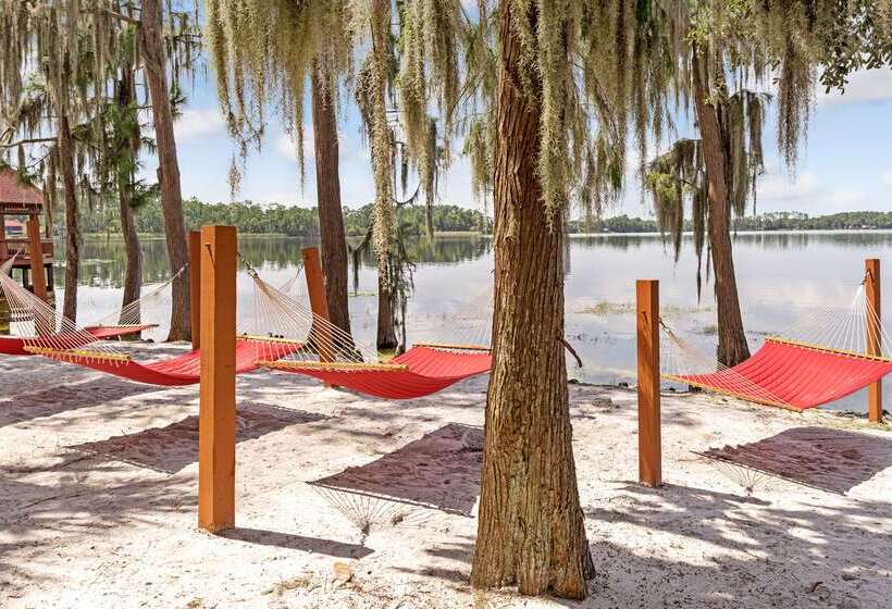 渡假胜地  Hilton Vacation Club Grand Beach Orlando