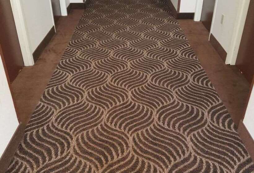 酒店 Americas Best Value Inn Evansville East