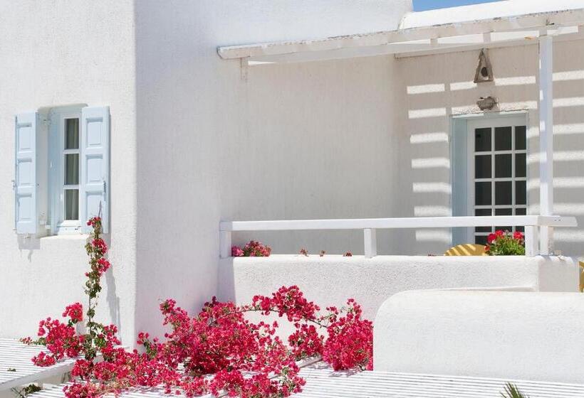 בית מלון כפרי Numo Mykonos Boutique Resort