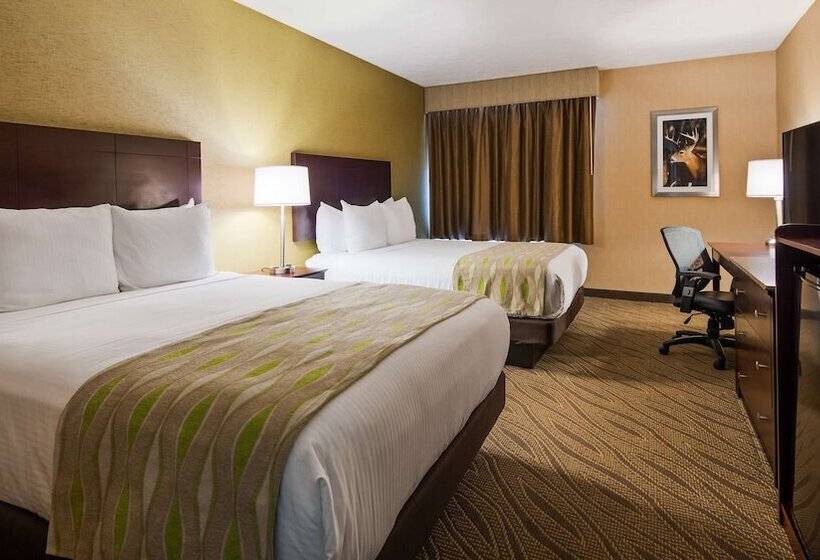 Отель Best Western Gaylord