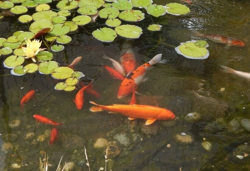 فندق Best Western The Inn & Suites Pacific Grove