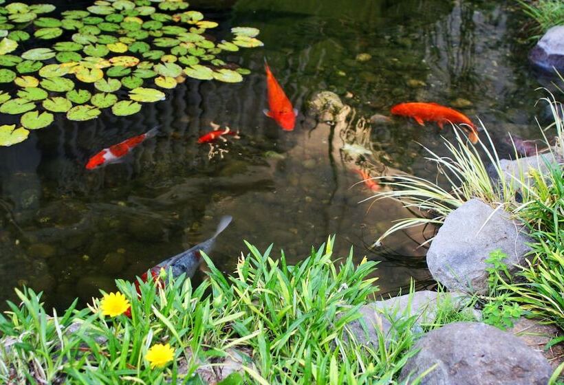 فندق Best Western The Inn & Suites Pacific Grove