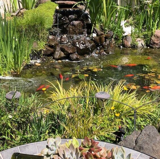 فندق Best Western The Inn & Suites Pacific Grove