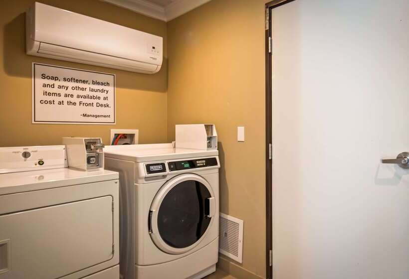 فندق Best Western Willows Inn