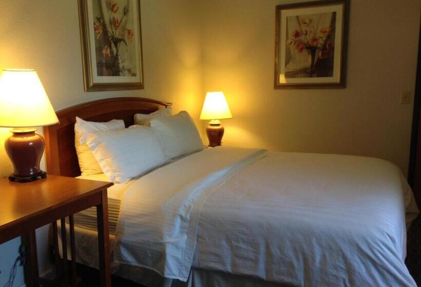 בית מלון כפרי Buena Vista  San Luis Obispo