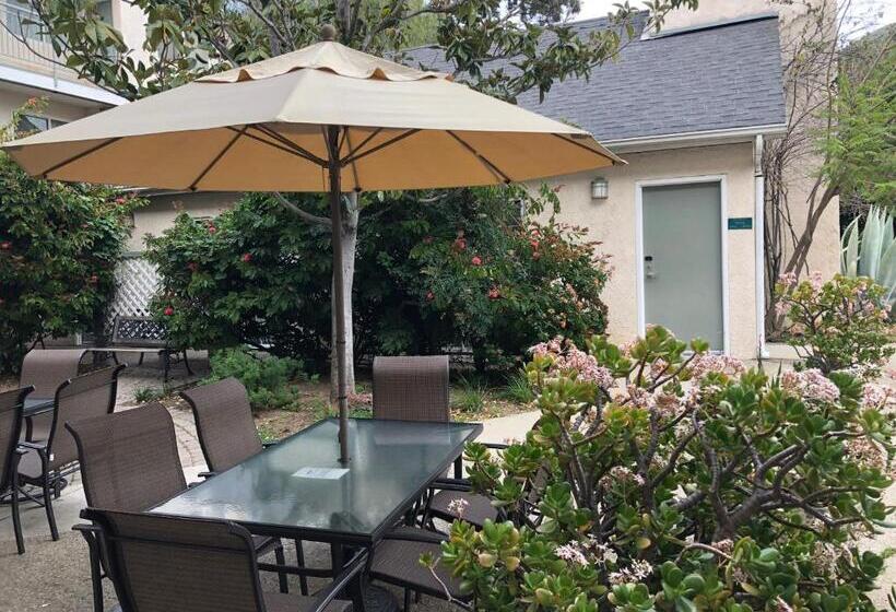 בית מלון כפרי Buena Vista  San Luis Obispo