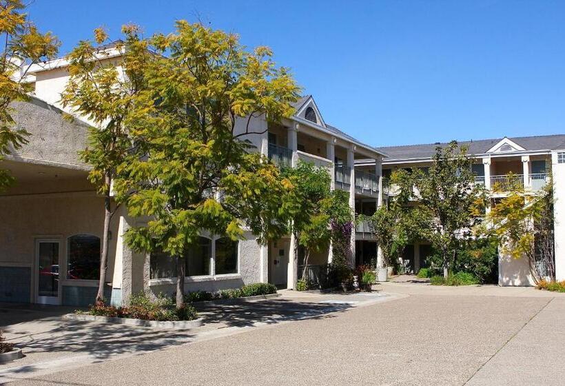 בית מלון כפרי Buena Vista  San Luis Obispo